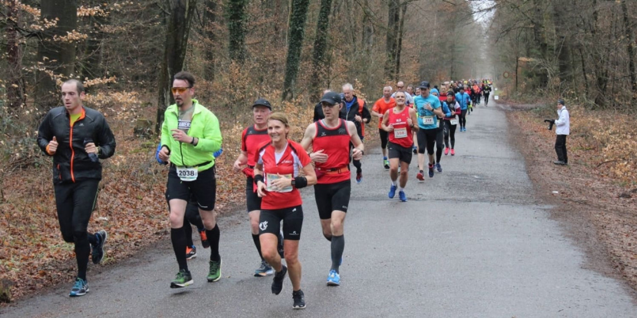 Bienwald Marathon in Kandel